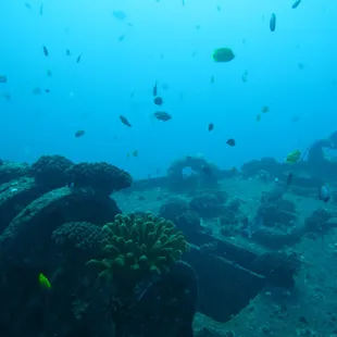another beautiful wreck you can explore diving in Hawaii on Ruckus.