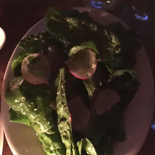 Arugula