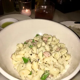 Shells