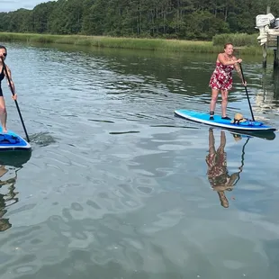 Rudee Paddle Boarding Tours  Rudee Inlet Virginia Beach, Virginia