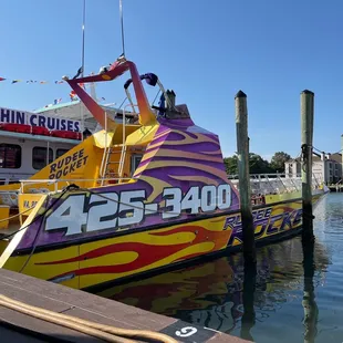 Dolphin tour- Rudee tours pier