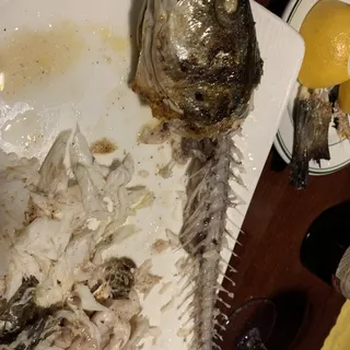 Whole Bronzini Fresh From The Mediterranean Sea