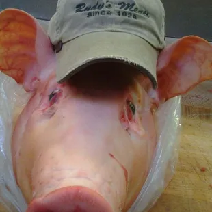 a pig with a hat on