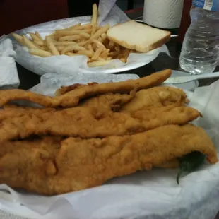 Piece Family Fish