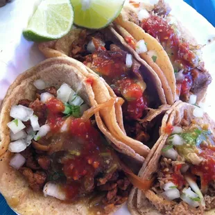 Carnitas Taco