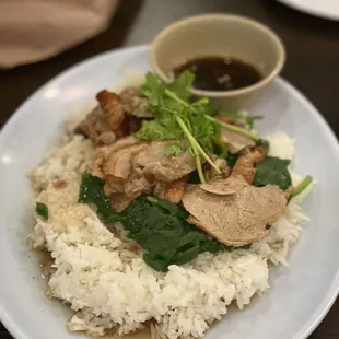 Roast duck over rice
