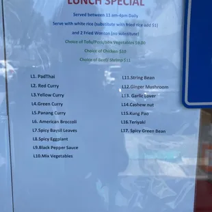 lunch specials - any dish can be made with tofu