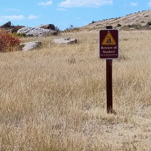 Beware of Snakes!  10-07-2024