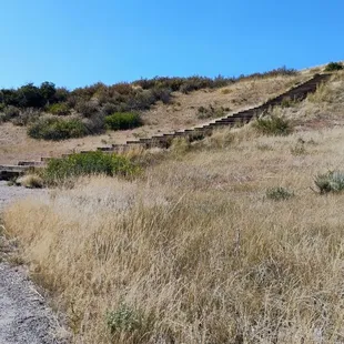 132 Steps  10-07-2024