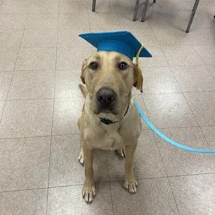 Ari with her graduation cap.