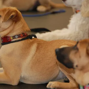 Focused group class students