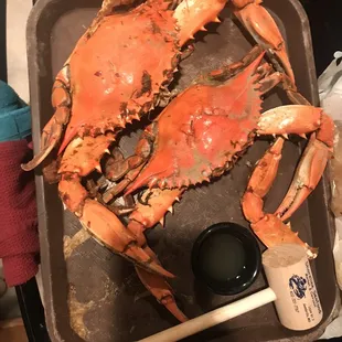 a large crab on a tray