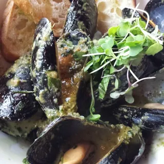 Curry Mussels