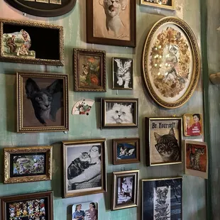 Obviously a cat lover