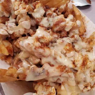 Fully loaded fries at RTR