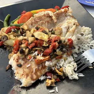 Mediterranean Grouper