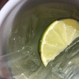 Spider  in my margarita