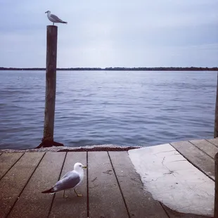 View of the bay while sitting under the thatched umbrellas