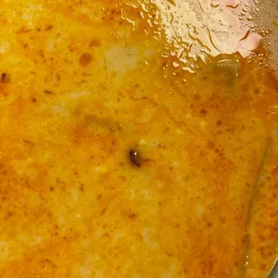 Cute little bug in the curry