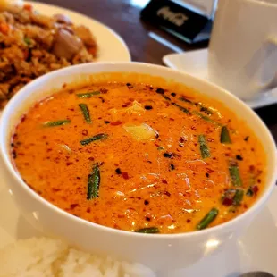 CHICKEN RED CURRY: WHITE MEAT, CARROT, POTATO, GREEN BEAN in coconut spicy broth