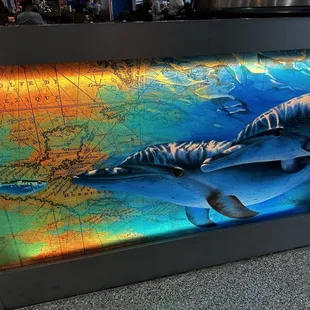 two dolphins swimming in the ocean