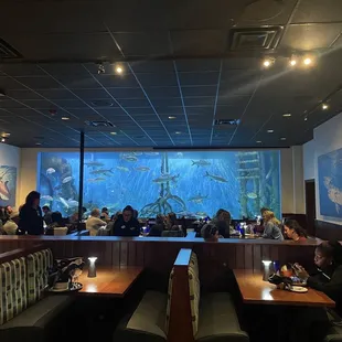 awesome views in ANY seat!