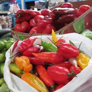 a variety of peppers
