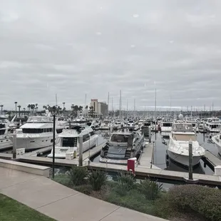 The view of the marina during the day