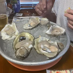 Oysters on the Half Shell.