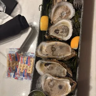 oysters and mussels, mussels, food, shellfish, oysters
