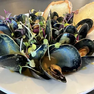 food, shellfish, oysters, oysters and mussels, mussels