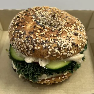 Cosmic Kraut bagel
