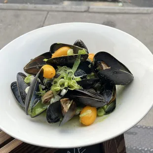 oysters, mussels, oysters and mussels, shellfish, food