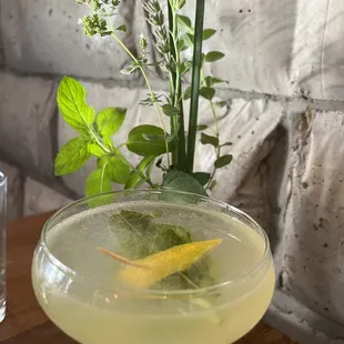 seasonal Lemon Basil Gin ! Happy Hour