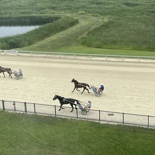 Race track and horses