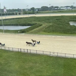 Race track and horses