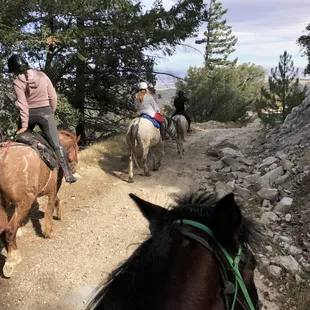 Cross Country Rides for experienced riders