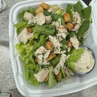 Aviator Salad (Large)-$5.99 Bowl of romaine, croutons, shredded parmesan, lemon and creamy Caesar dressing.