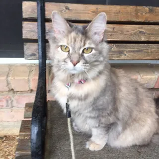 Barbara S.