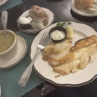 Orange Roughy