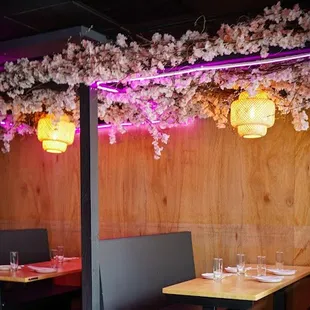 sushi and sashimi, interior