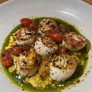 Sea Scallops