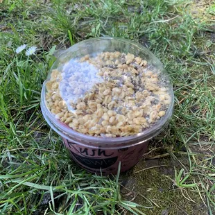 Beach Bowl with chia seeds