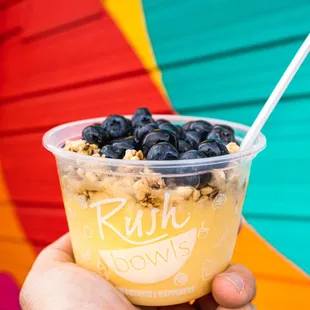 a hand holding a plastic cup filled with blueberries