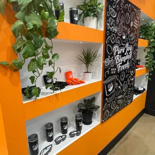 a wall of shelves with plants on them