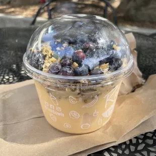 Paradise Bowl with blueberry topper