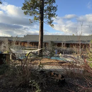 View from patio toward pool