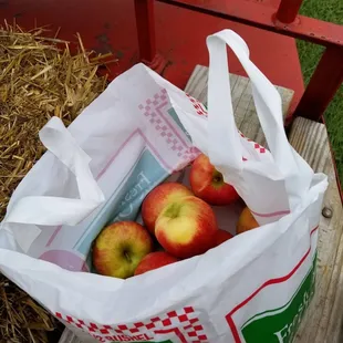 a bag of apples