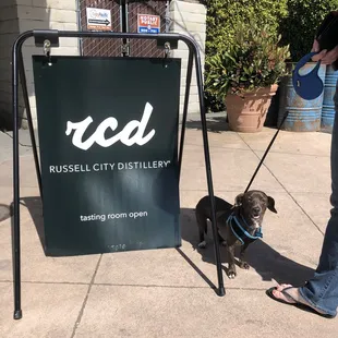 .@wagwalking &amp; #local #distillery visit. @werehungry2