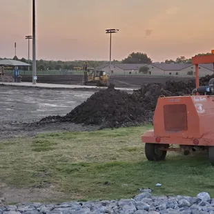 Switch grass for artificial turf